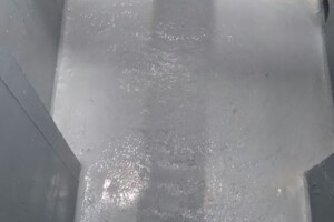 13087865 266636040343284 5573628987559376318 n